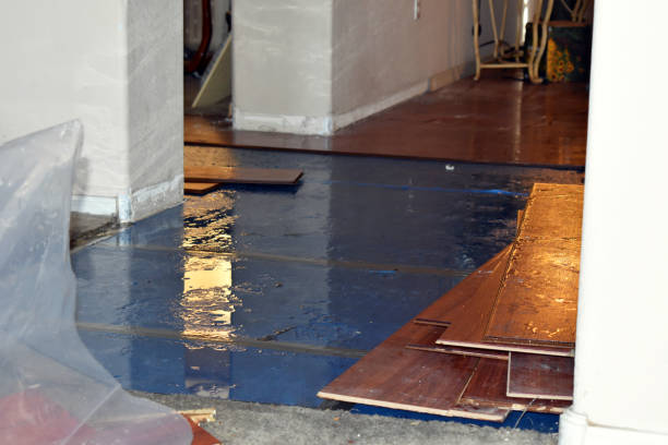 Professional Basement Water Removal technician working in Engelhard, NC